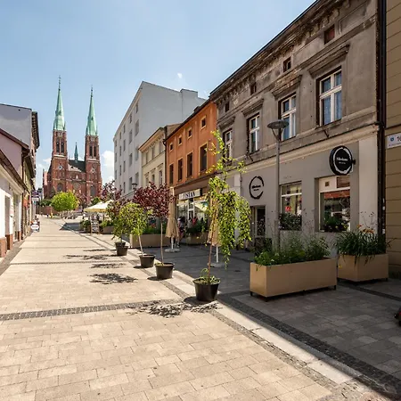 Platinum 15 Apartment Rybnik (Silesia)